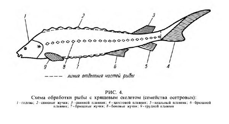 рис.4